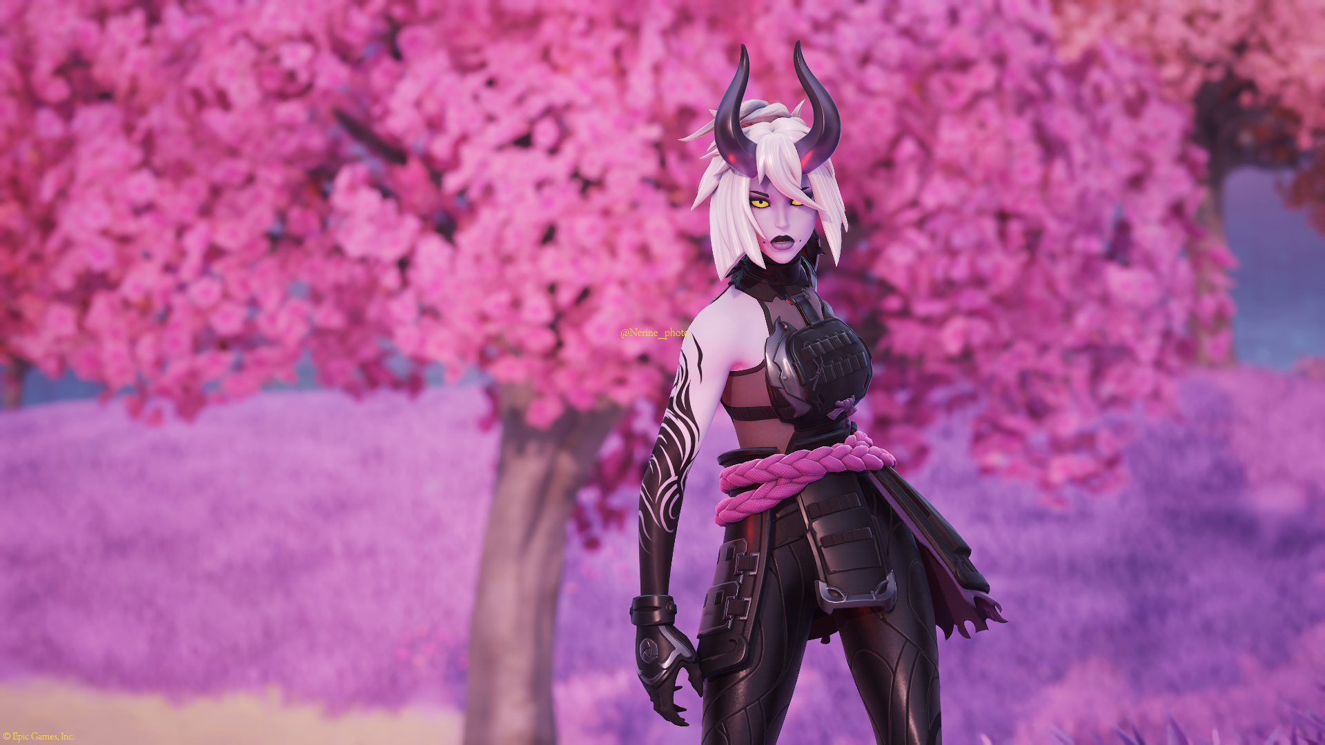 Night Rose